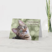 Gefeliciteerd, Veterinary Tabby Kitten Afstuderen Kaart (Voorkant)