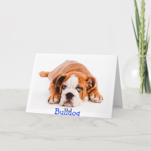 Gefeliciteerd Wenskaart Bulldog Kaart (Achterkant)
