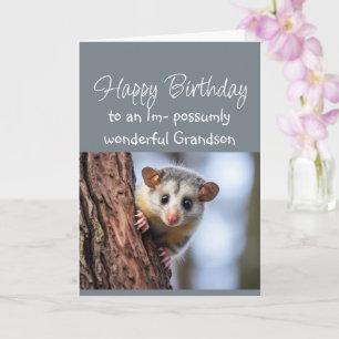 Gefeliciteerd Wonderbaarlijke Kleinzoon Opposum Di Kaart