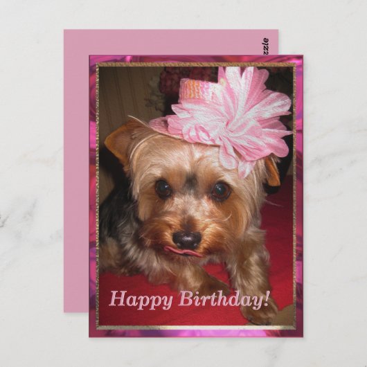 Gefeliciteerd Yorkie Briefkaart (Voorkant / Achterkant)