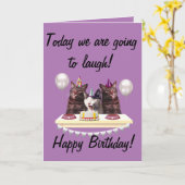 Gefeliciteerde verjaardag grappige katten kaart (Gele Bloem)