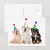 Gefeliciteerde verjaardag honden briefkaart (Voorkant / Achterkant)
