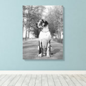 Gefleckte Deutsche Dogge Canvas Afdruk (Insitu (Houten vloer))