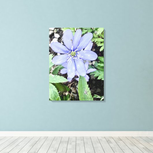 Gefluister van de bossen canvas afdruk (Insitu (Houten vloer))