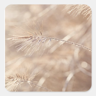 "Gefluister van de schoonheid van Natuur" Vierkante Sticker