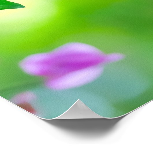 Gefluister van het ochtendlicht poster (Hoek)