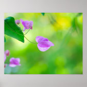 Gefluister van het ochtendlicht poster (Voorkant)