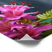 "Gefluister van Natuur: Kolibrie, Waterval Poster (Hoek)