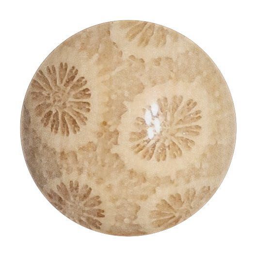 gefossiliseerde koraalprint snijplank (Voorkant)