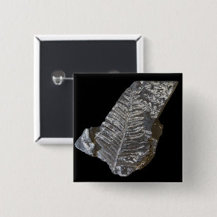 Gefossiliseerde varen bladeren Natuur fotografie Vierkante Button 5,1 Cm