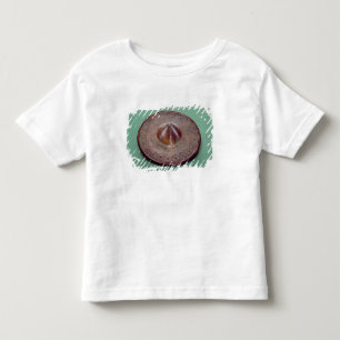 Gegaasde pin, uit Ierland, c.700 BC Kinder Shirts