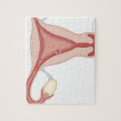 Gegestruiseerde eieren die embryo's worden legpuzzel (Verticaal)