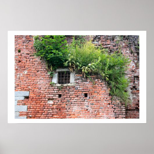 Gegevens medieval venster poster (Voorkant)