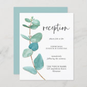 Gegevens over de ontvangst van een brute eucalyptu (Voorkant / Achterkant)