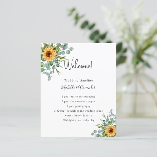 Gegevens over het eucalyptusprogramma voor zonnebl (Staand voorkant)