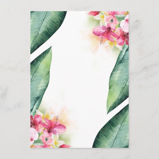 Gegevens over het handpalmgordeldoorlatende strand informatiekaartje (Achterkant)