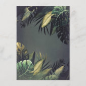 Gegevens over het handpalmgordeldoorlatende strand informatiekaartje (Achterkant)