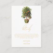 Gegevens over het Sinaasappel van de Elegant Summe Informatiekaartje (Voorkant)