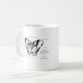 Gegevens over mannelijke bekken koffiemok (Voorkant links)