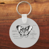 Gegevens over mannelijke bekken sleutelhanger (Voorkant)