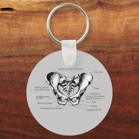 Gegevens over mannelijke bekken sleutelhanger (Voorkant)