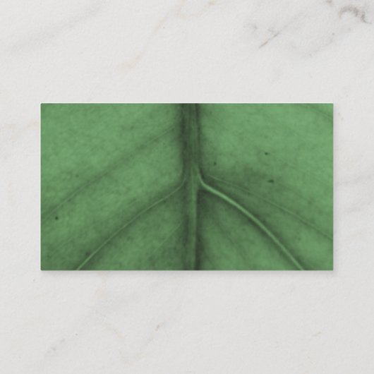 Gegevens over Tropisch lef Art Deco Geïnspireerd h Informatiekaartje (Achterkant)