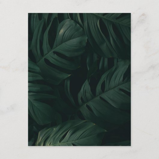 Gegevens over Tropische bruiloft voor bestemming Informatiekaartje (Achterkant)