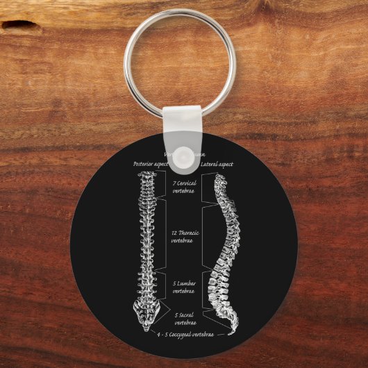 Gegevens over wervelkolom sleutelhanger (Voorkant)