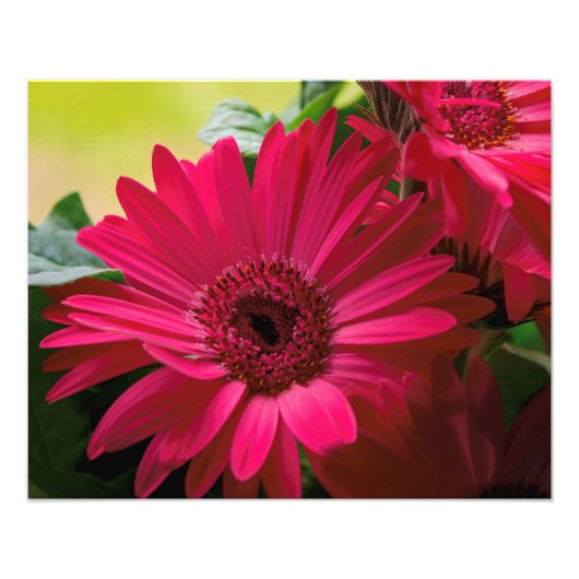 Gegevens roze dagen foto afdruk (Voorkant)