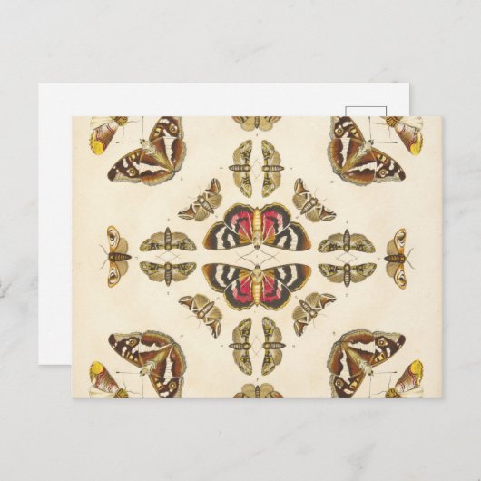 Gegevens van Bord VI Briefkaart (Voorkant / Achterkant)