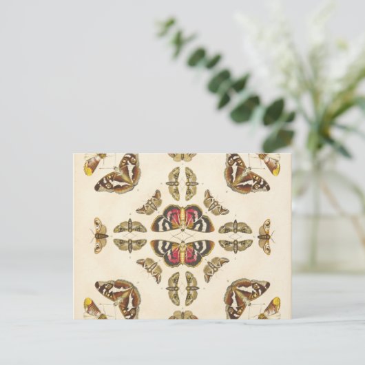 Gegevens van Bord VI Briefkaart (Staand voorkant)