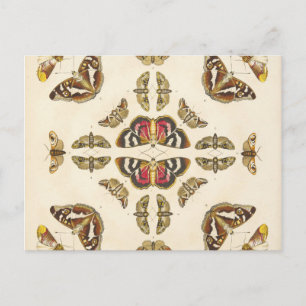 Gegevens van Bord VI Briefkaart