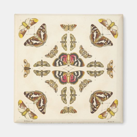 Gegevens van Bord VI Magneet (Voorkant)