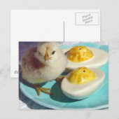 Gegilde Eieren en het Kuiken Briefkaart (Voorkant / Achterkant)
