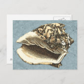 Gegonespoelde schroef briefkaart (Voorkant / Achterkant)