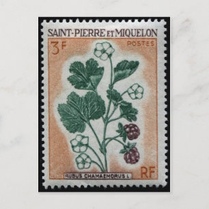 gegraveerd Briefkaart Stempel