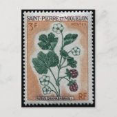  gegraveerd Briefkaart Stempel (Voorkant)