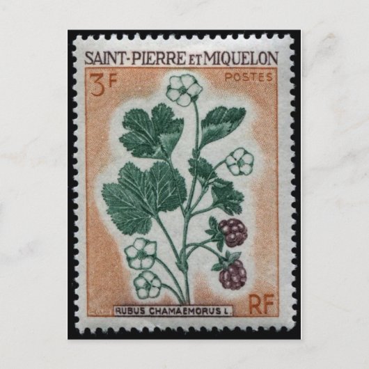 gegraveerd Briefkaart Stempel (Voorkant)