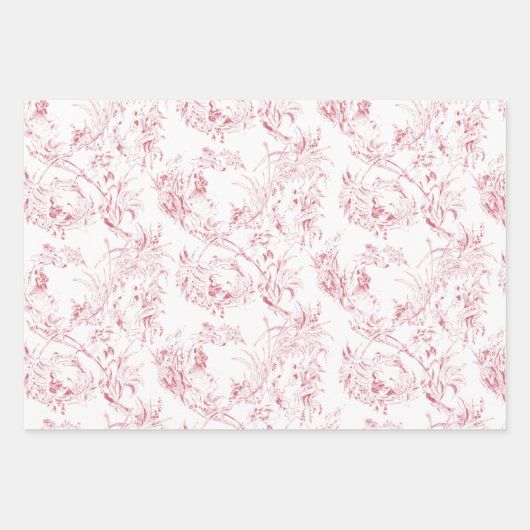 gegraveerd Frans Floral Fantasy Toile Inpakpapier Vel (Voorkant 2)