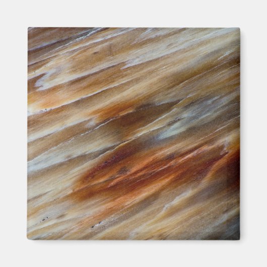 Gegriefd versteend hout magneet (Voorkant)