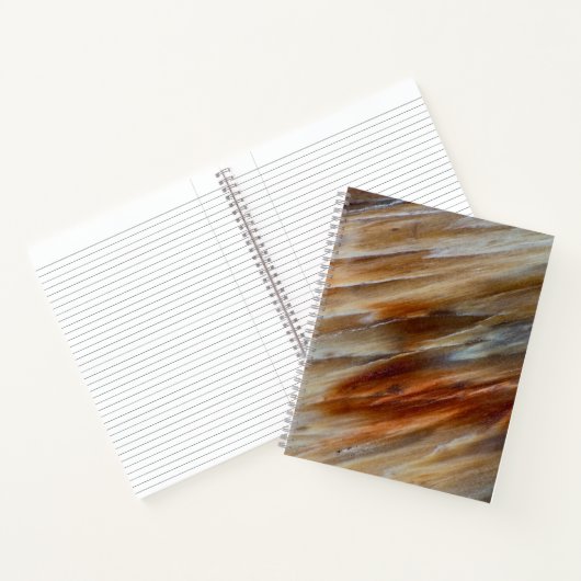 Gegriefd versteend hout notitieboek (Binnen)