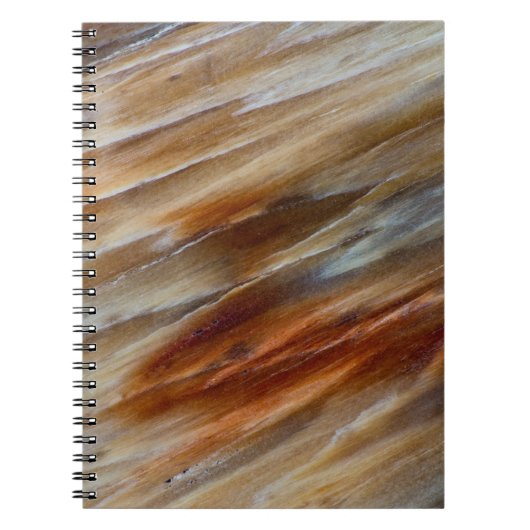 Gegriefd versteend hout notitieboek (Voorkant)
