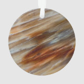 Gegriefd versteend hout ornament (achterkant)