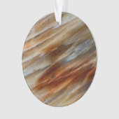 Gegriefd versteend hout ornament (voorkant)