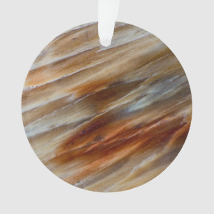 Gegriefd versteend hout ornament
