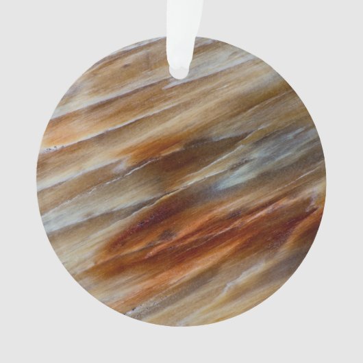 Gegriefd versteend hout ornament (voorkant)