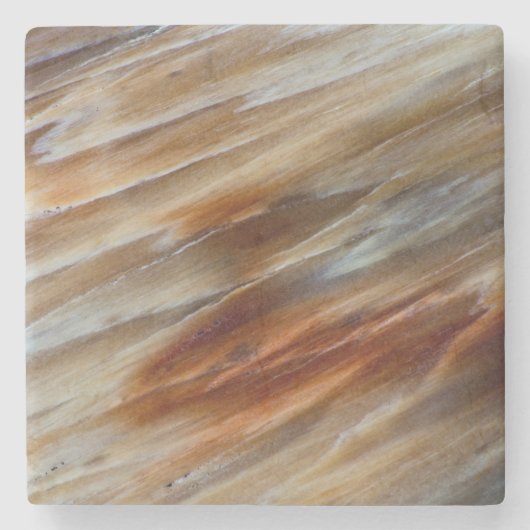 Gegriefd versteend hout stenen onderzetter (Voorkant)