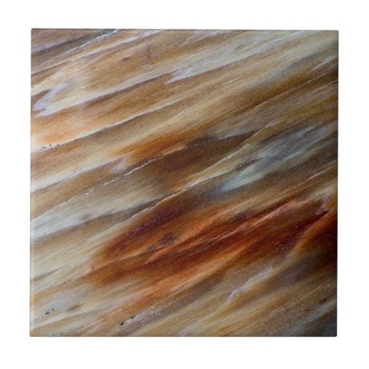 Gegriefd versteend hout tegeltje (Voorkant)