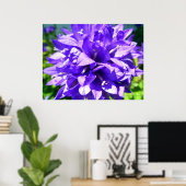 Gegroepeerde bloem (Campanula glomerata Superba) Poster (Thuiskantoor)