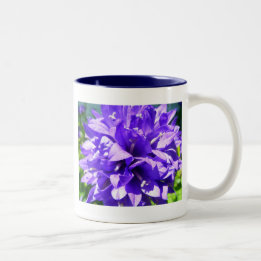 Gegroepeerde bloem (Campanula glomerata Superba) Tweekleurige Koffiemok